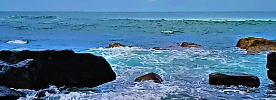 Thara Fernando Cover Image