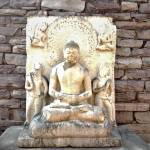 බුද්ධ භූමි Profile Picture