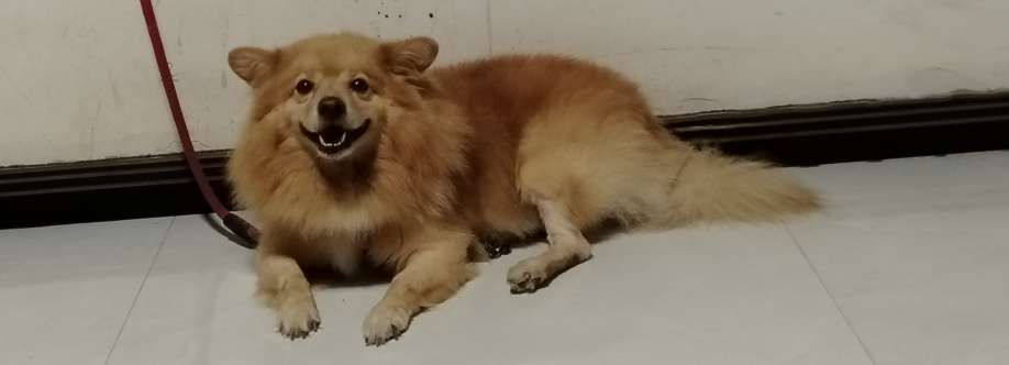 Udhitha Promodh Cover Image