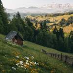 කඳුකර නිවස Profile Picture