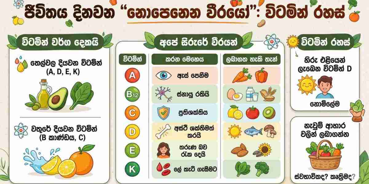 විටමින් ඉතිහාසය සහ එහි සැබෑ ක්‍රියාකාරීත්වය