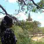 Anuja Dasawardana Profile Picture